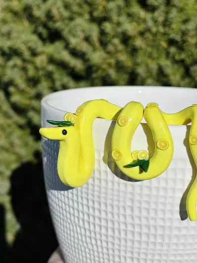 plant/Lemon Snake Plant Pot Decor-2-thumbnail