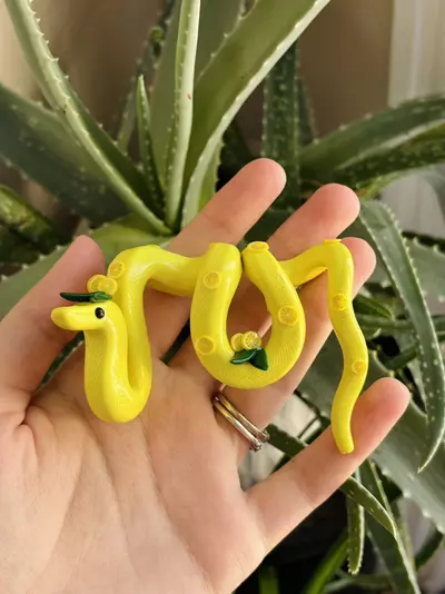 plant/Lemon Snake Plant Pot Decor-5-thumbnail