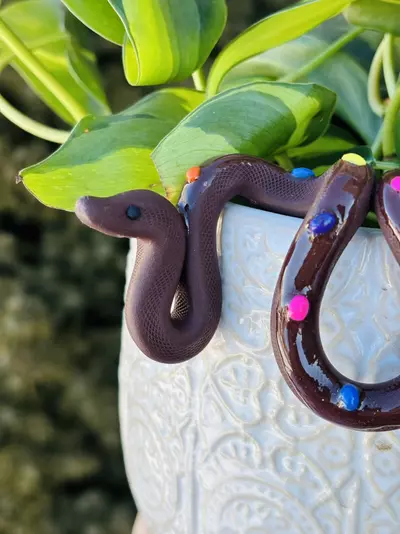 plant/Rainbow Brownie Pot Perch - Plant Pot Decor-4-thumbnail