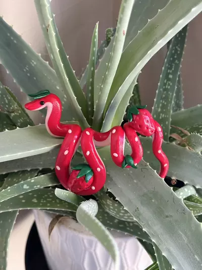 plant/Strawberry Snake Plant Pot Decor-6-thumbnail