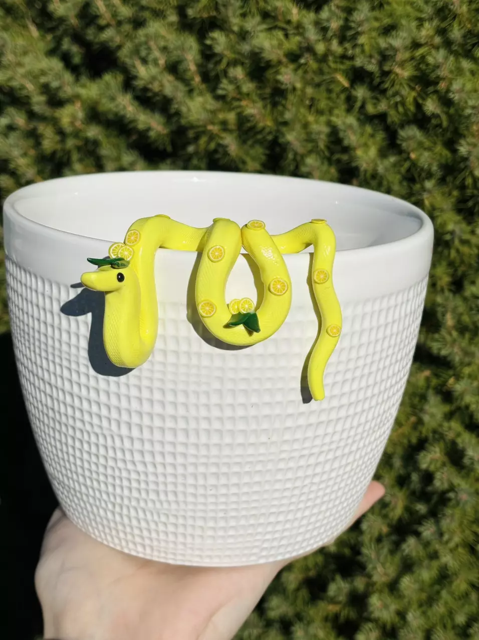plant/Lemon Snake Plant Pot Decor-0