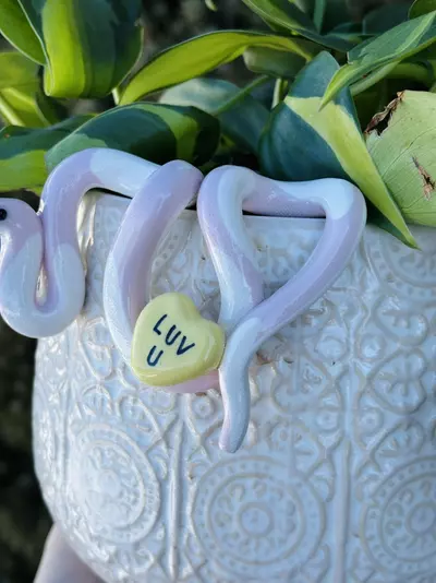plant/Candy Heart Snake Pot Perch - Plant Pot Decor-2-thumbnail