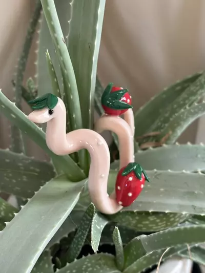 plant/Strawberry Snake Plant Pot Decor-4-thumbnail