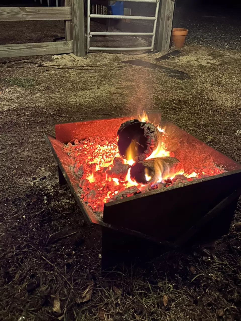 plant/Winter protection-0