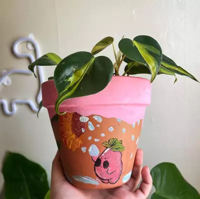 plant/CUSTOM PAINTED PLANTER-0-thumbnail