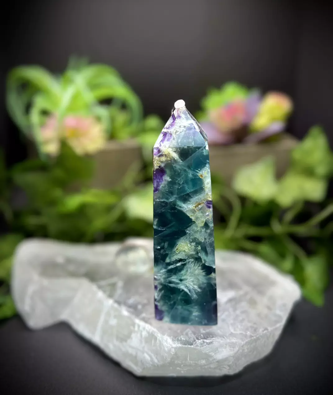 plant/Blue cuboidal Feather Flourite-0
