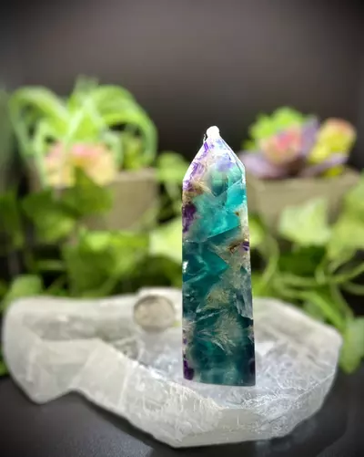 plant/Blue cuboidal Feather Flourite-1-thumbnail
