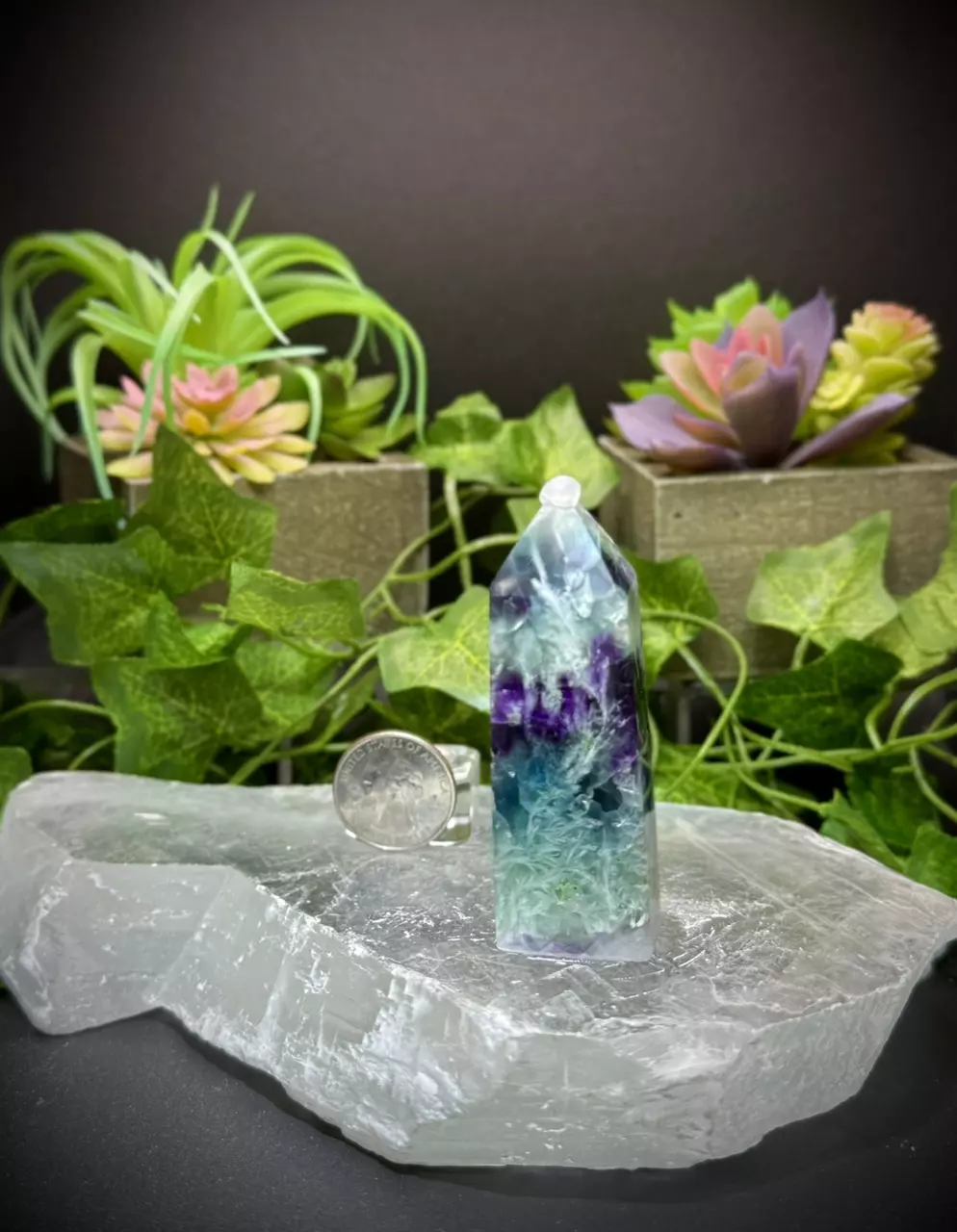 plant/Banded Feather Fluorite tower-0