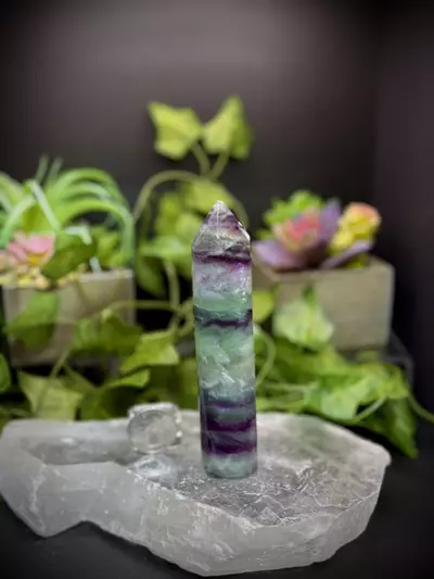 plant/Candlestick Banded Fluorite-0-thumbnail