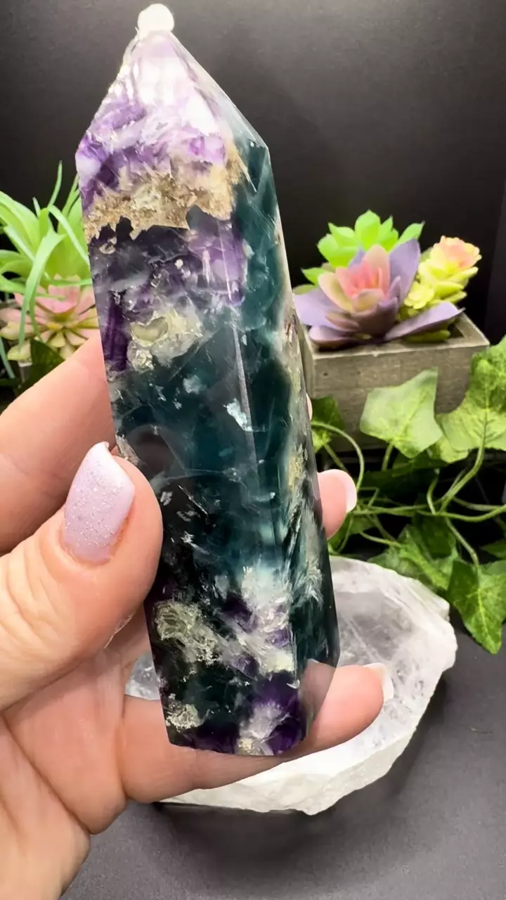 plant/Blue cuboidal Feather Flourite-2