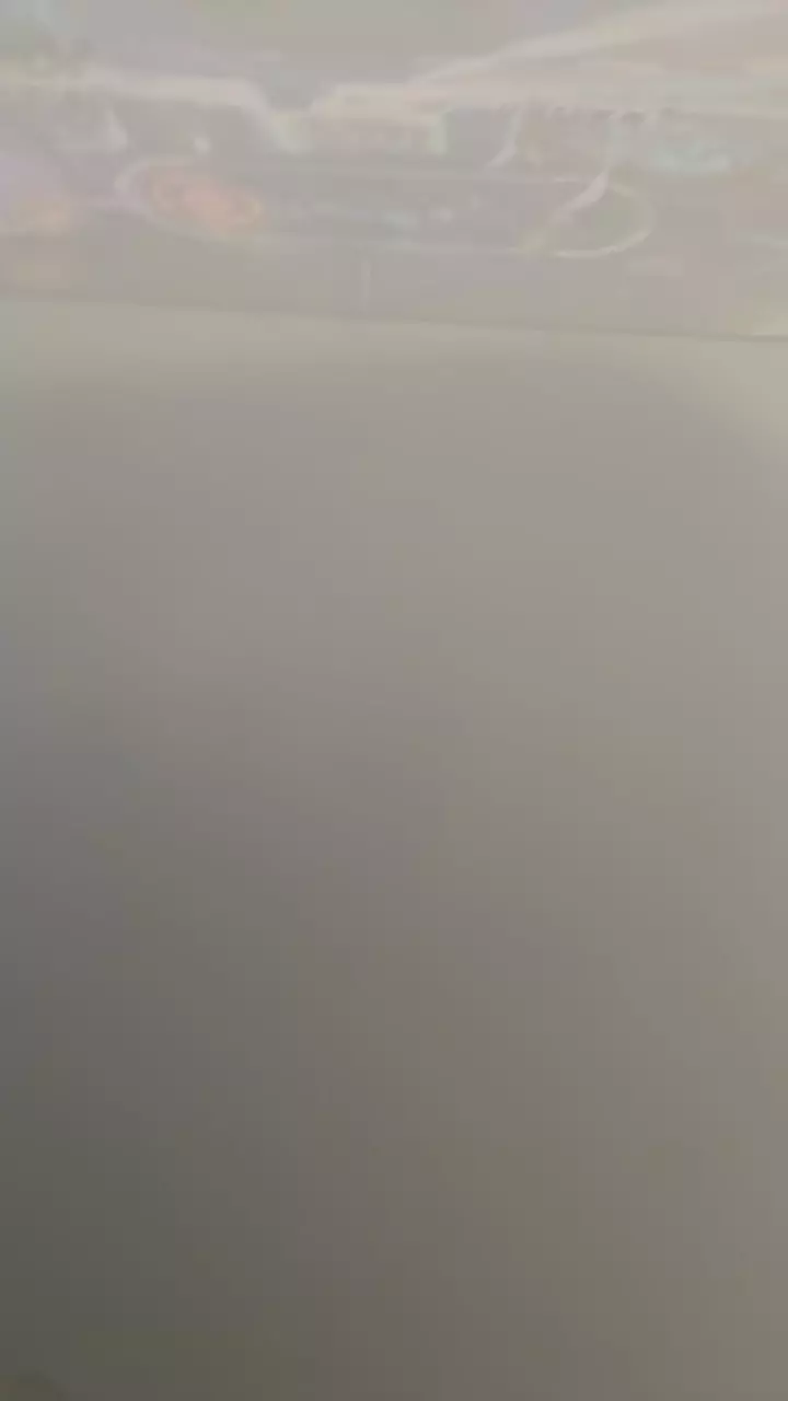 plant/Rcm x lux replacement-0