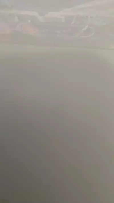 plant/Rcm x lux replacement-0-thumbnail