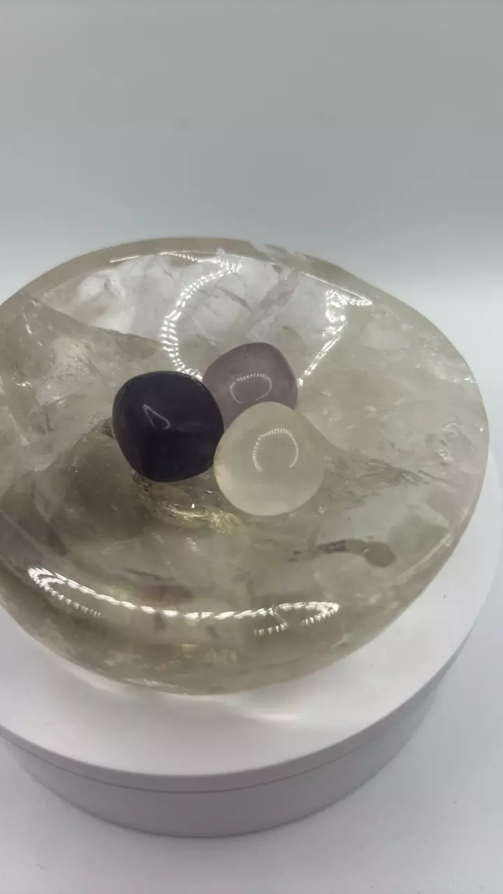 plant/Fluorite Tumble Bundle 281-0