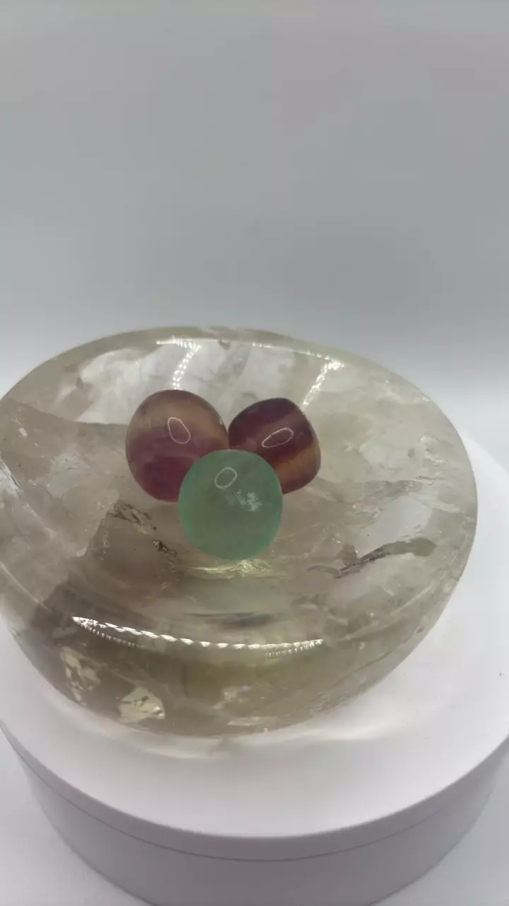 plant/Fluorite Tumble Bundle 279-0
