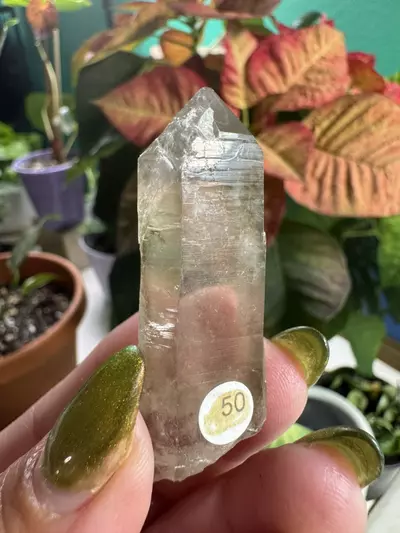 plant/Smoky Lemurian Quartz Point-0-thumbnail