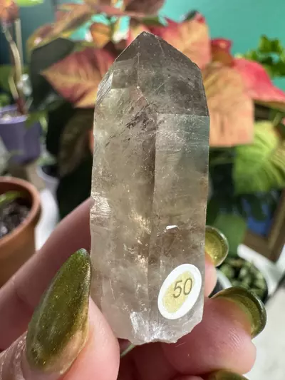plant/Smoky Lemurian Quartz Point-0-thumbnail