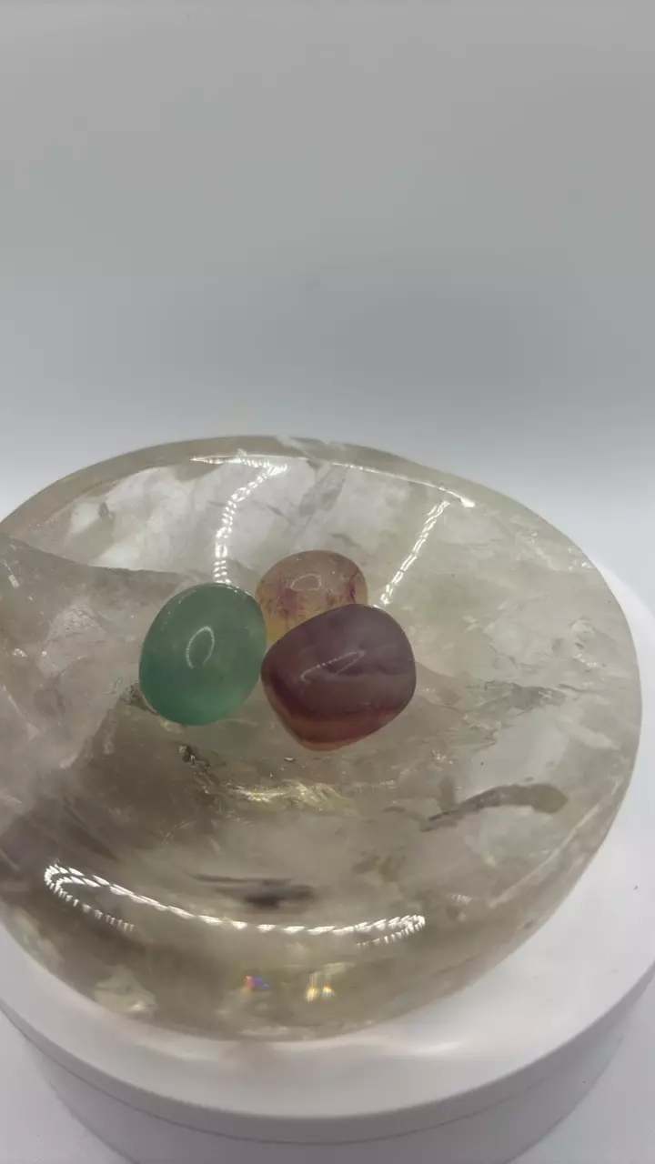 plant/Fluorite Tumble Bundle 278-0