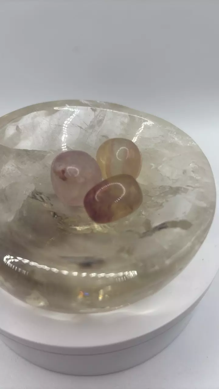 plant/Fluorite Tumble Bundle 282-0