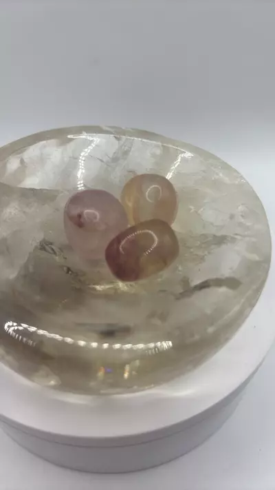 plant/Fluorite Tumble Bundle 282-0-thumbnail