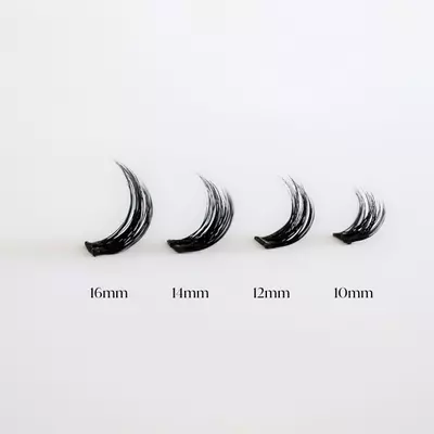 plant/In The Clouds-4-thumbnail