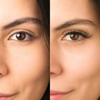 plant/Sugar Kissed-2-thumbnail