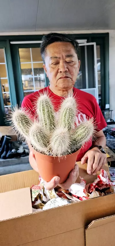 heat_pack/Echinocereus rayonesis-2-thumbnail