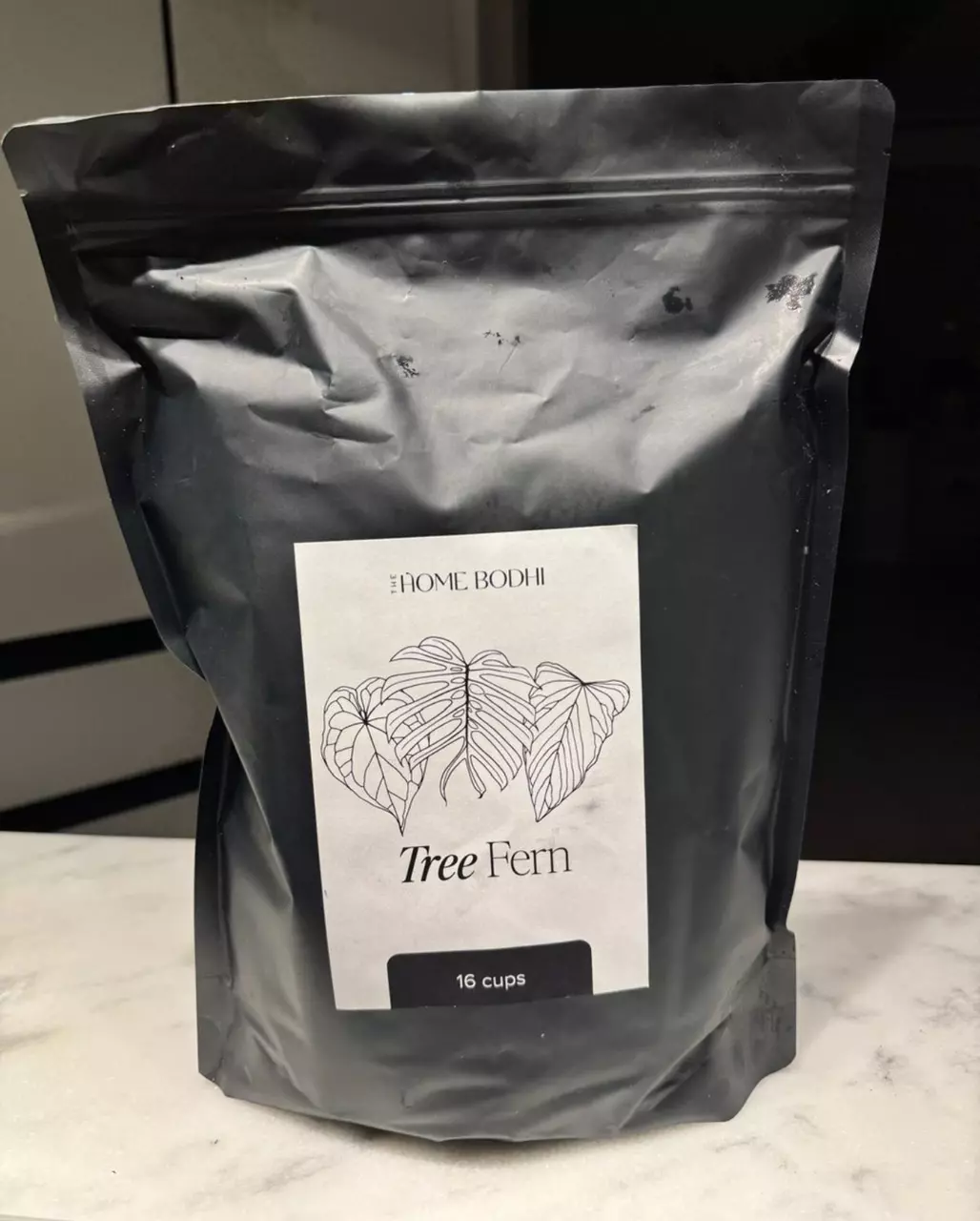 plant/16 Cup Tree Fern Fiber-0