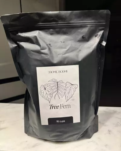 plant/16 Cup Tree Fern Fiber-0-thumbnail