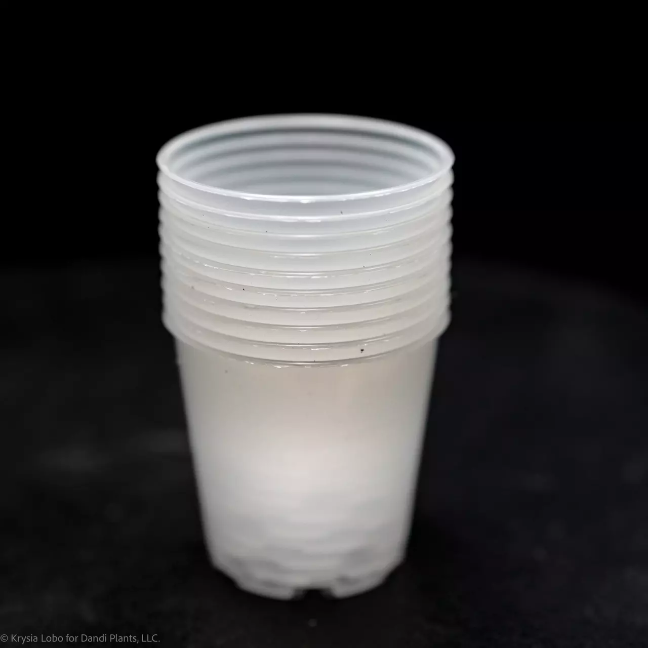 plant/GPOT2 - (25) 2” pots *free ship for *add on only*-1