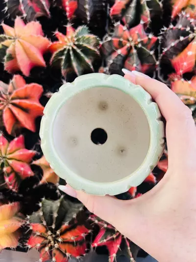 plant/A1 Pot Rock Glazed 2”-1-thumbnail