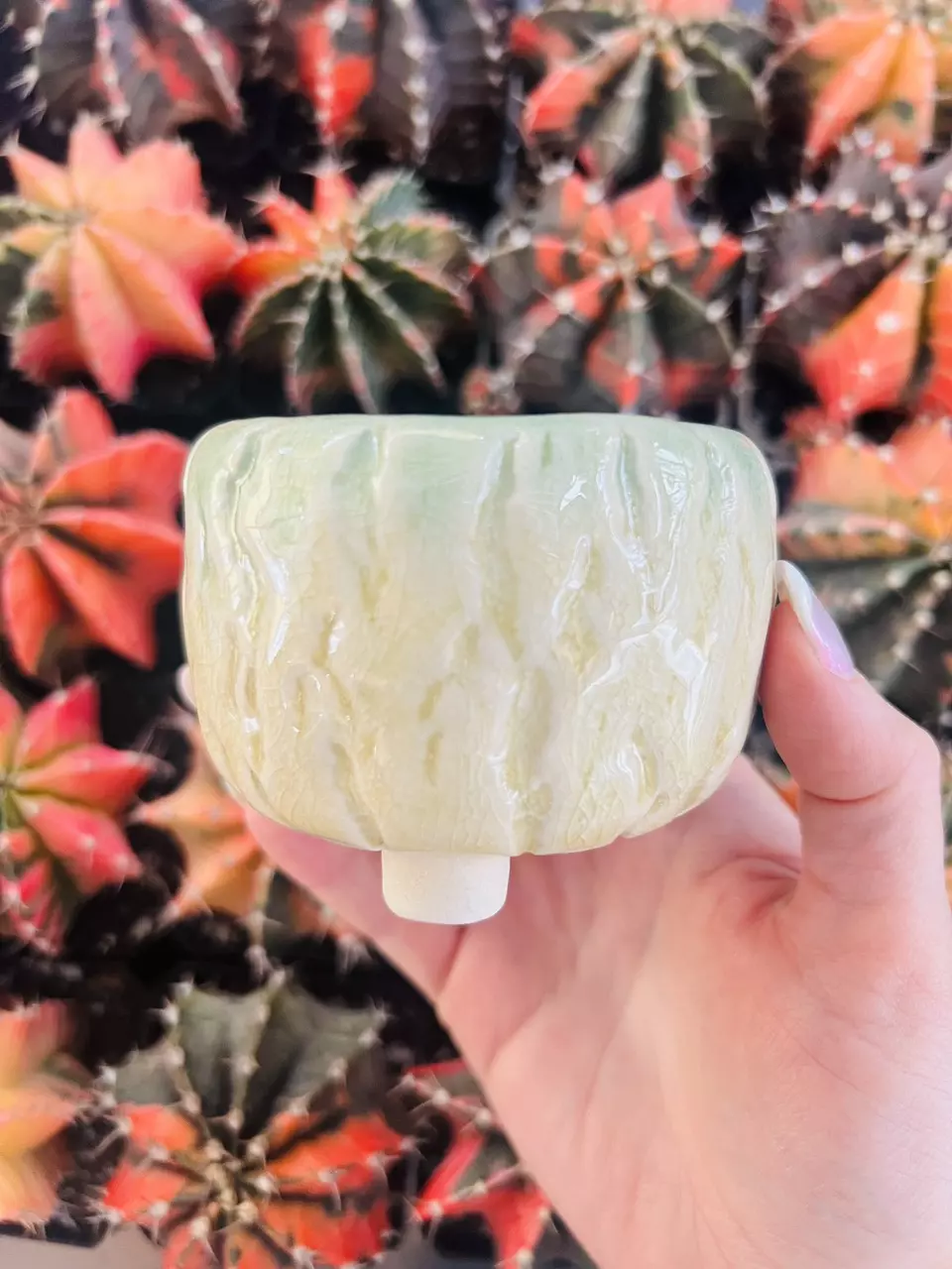 plant/A1 Pot Rock Glazed 2”-0
