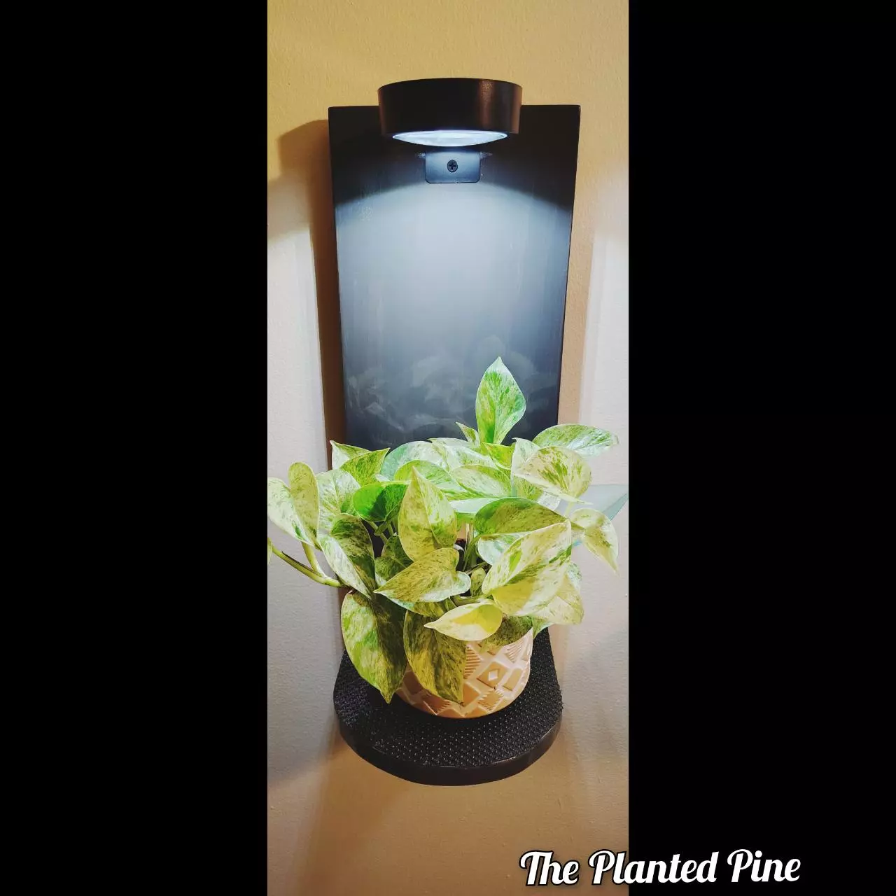 plant/Blank Grow Light Shelf --> PREORDER <---0