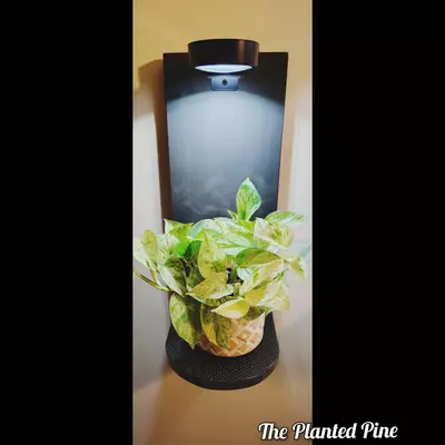 plant/Blank Grow Light Shelf --> PREORDER <---0-thumbnail