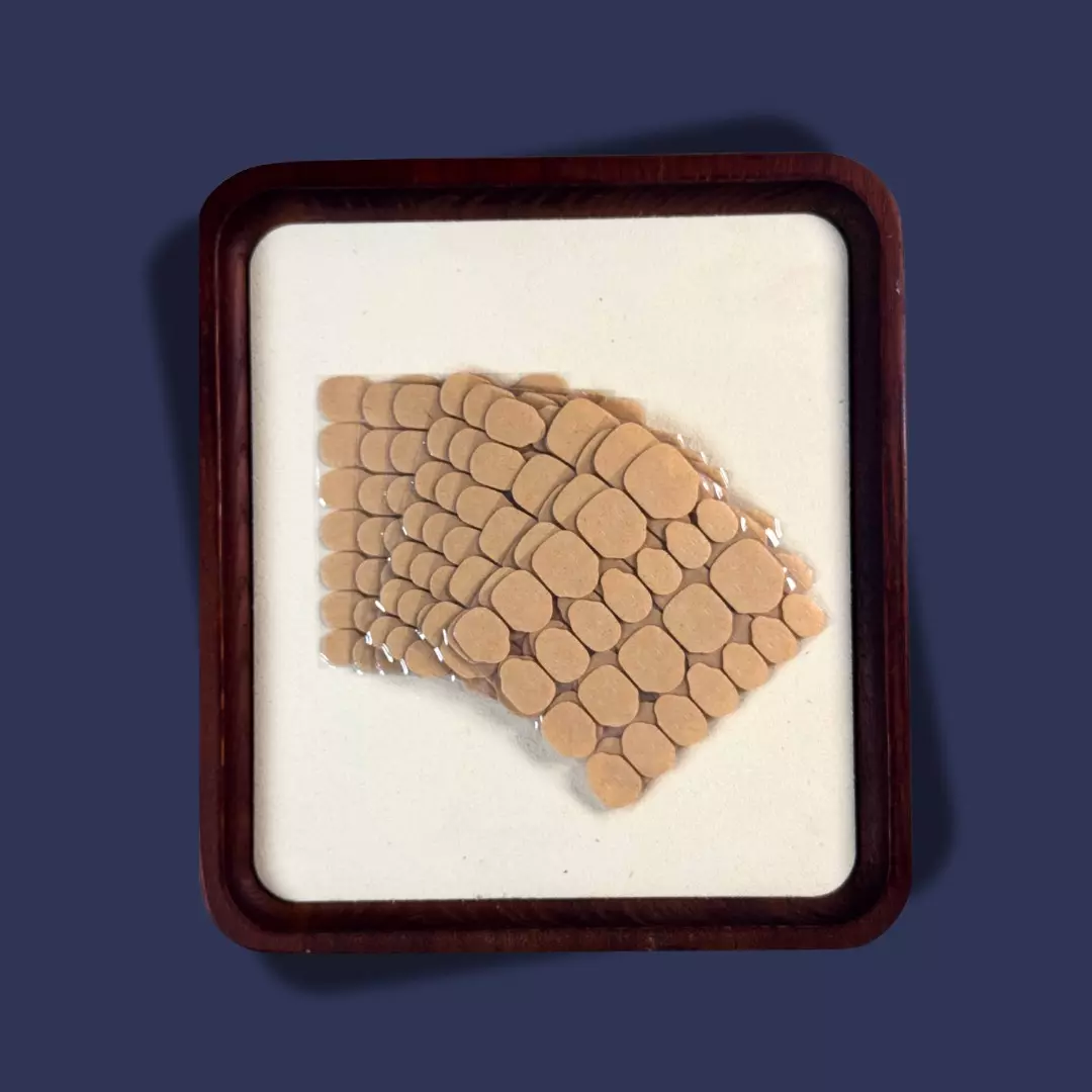 plant/Extra Sticky Adhesives-0