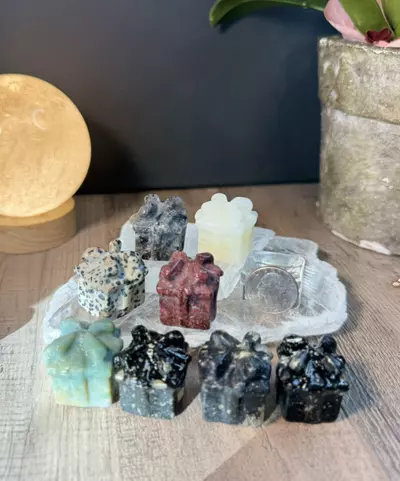 plant/Random pick Present-0-thumbnail