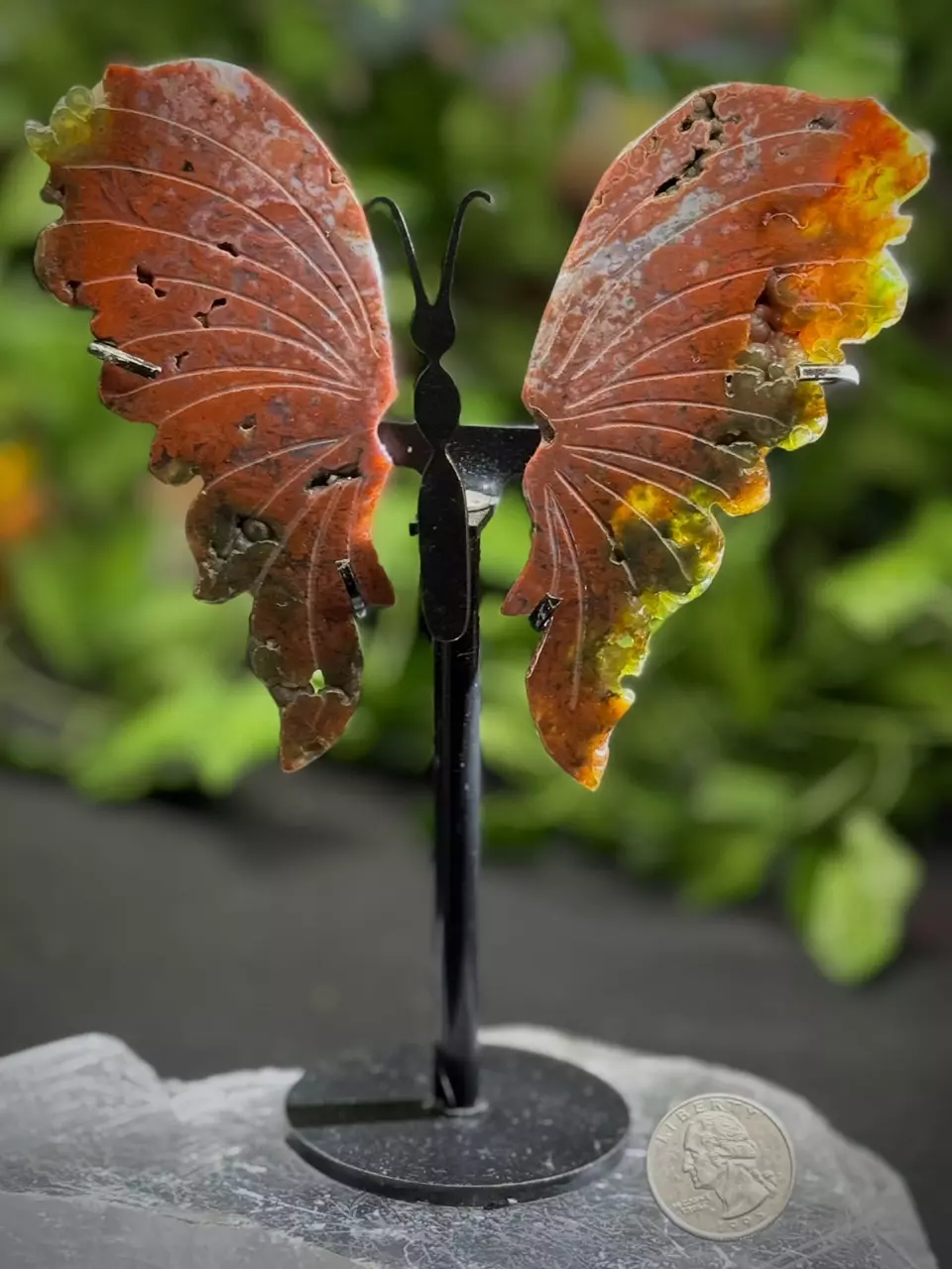 plant/Popcorn & Sugar druzy  Druzy Red Moss + Ocean Jasper  butterfly-1