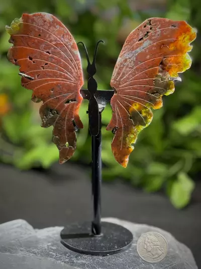 plant/Popcorn & Sugar druzy  Druzy Red Moss + Ocean Jasper  butterfly-1-thumbnail
