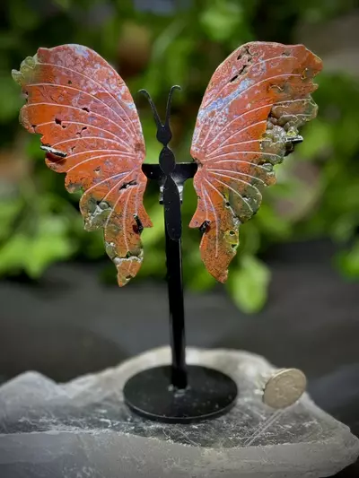 plant/Popcorn & Sugar druzy  Druzy Red Moss + Ocean Jasper  butterfly-0-thumbnail