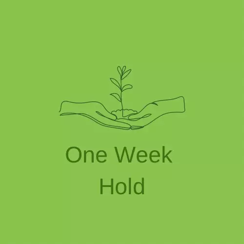 free_shipping/One Week Hold-0