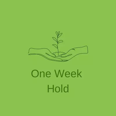 free_shipping/One Week Hold-0-thumbnail