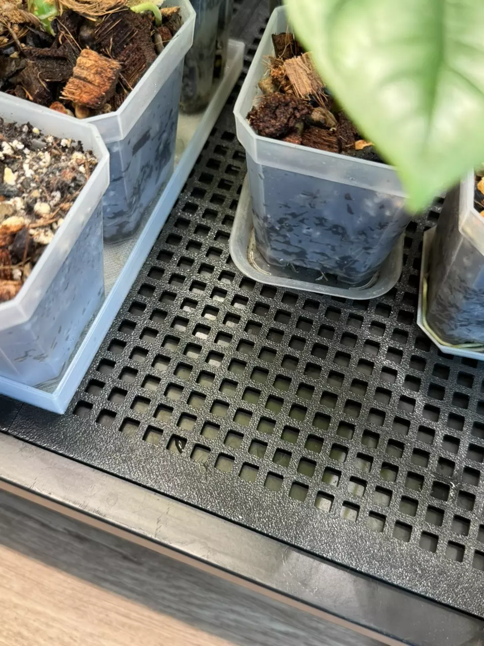 plant/Floor Protector for Rudsta Wide IKEA Greenhouse Cabinet-2