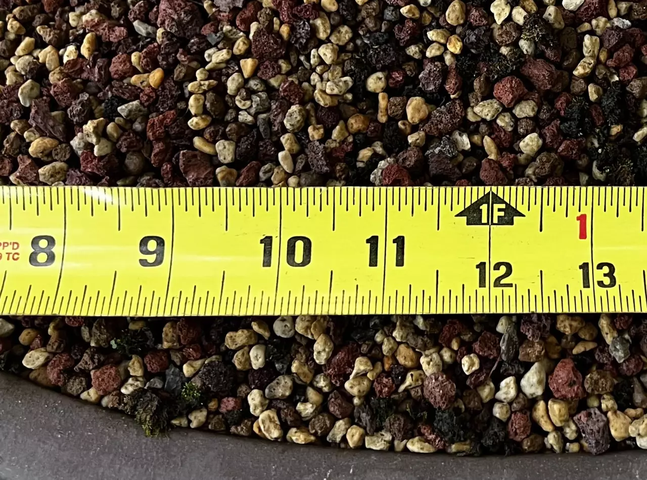 plant/APL Bonsai Soil Mix-2