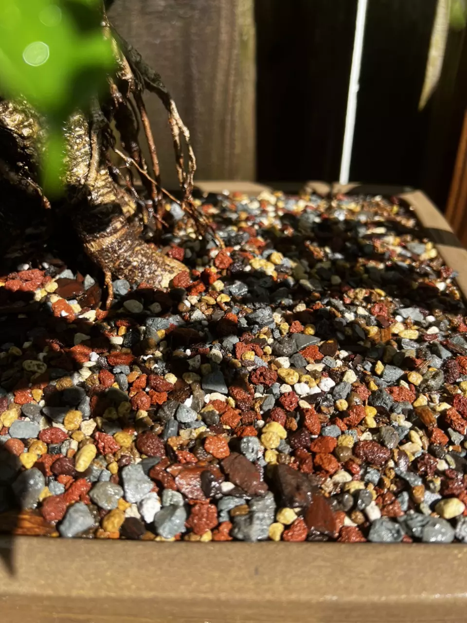 plant/Organic Bonsai Soil Mix-0