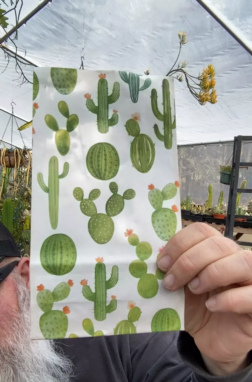 plant/5 pc. Rhipsalis Cutting Bag-1