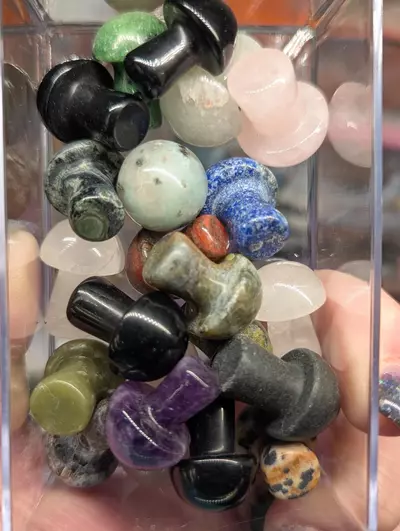 plant/Mini Mushrooms *You pick*-1-thumbnail