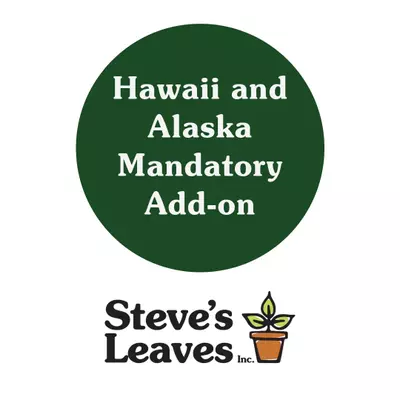 shipping_upgrade/HI & AK Mandatory Add-on (2-Day)-0-thumbnail