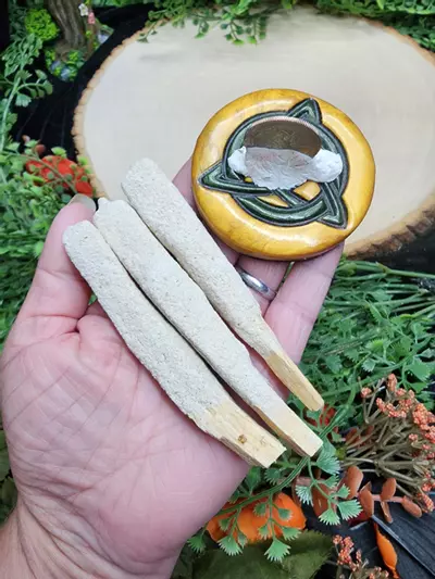 plant/Dipped Palo Santo-4-thumbnail