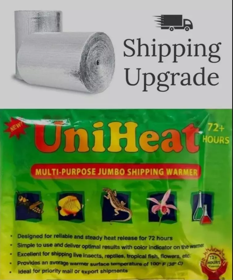 plant/Winter shipping protection-0