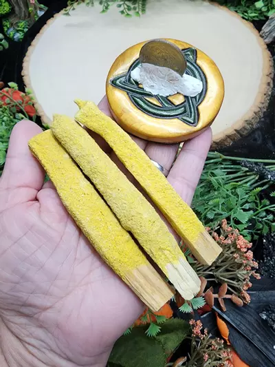 plant/Dipped Palo Santo-3-thumbnail