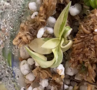 heat_pack/Acclimate TC For Me-0-thumbnail